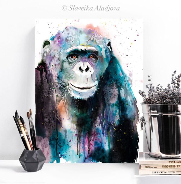 Chimp Chimpanzee