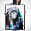 Chimp Chimpanzee