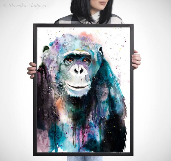 Chimp Chimpanzee