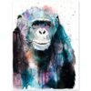 Chimp Chimpanzee