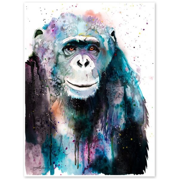 Chimp Chimpanzee