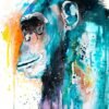 Colorful Chimp Chimpanzee