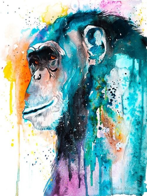 Colorful Chimp Chimpanzee