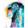 Colorful Chimp Chimpanzee