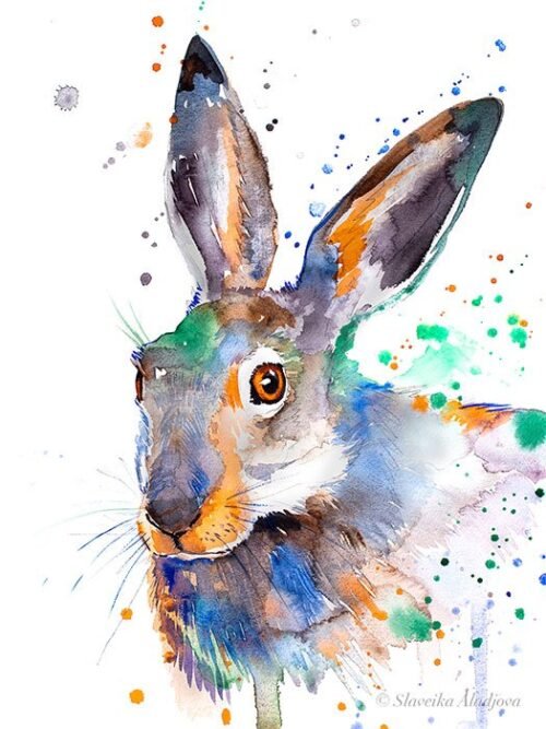Colorful Jackrabbit