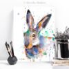 Colorful Jackrabbit