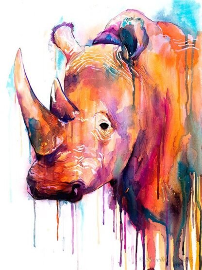 Colorful Rhino