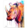 Colorful Rhino