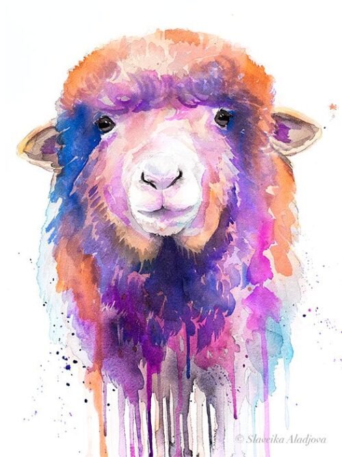 Colorful Sheep