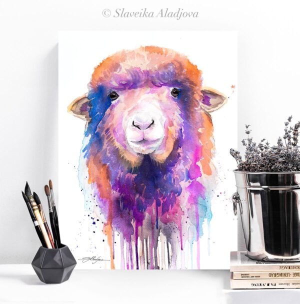 Colorful Sheep