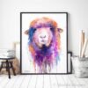 Colorful Sheep