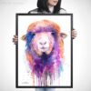 Colorful Sheep