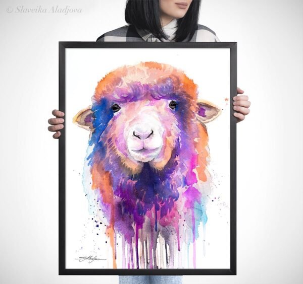 Colorful Sheep