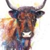 Cow brown