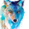 Coyote watercolor 1 Coyote