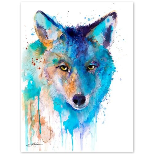 Coyote