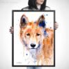 Dingo