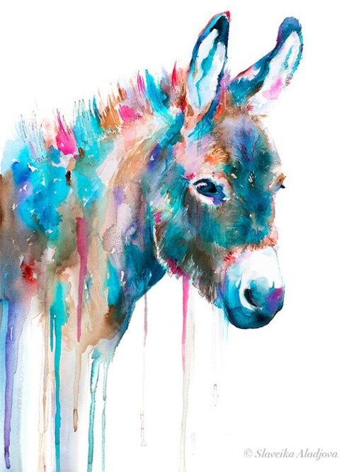 Donkey