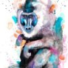 Drill Monkey