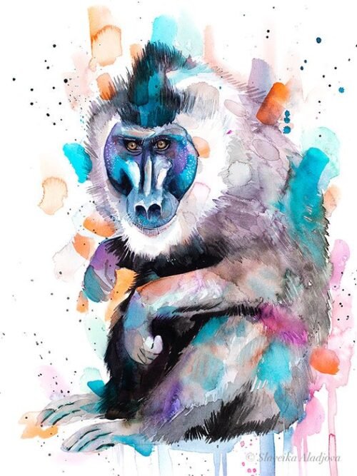 Drill Monkey
