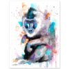 Drill Monkey