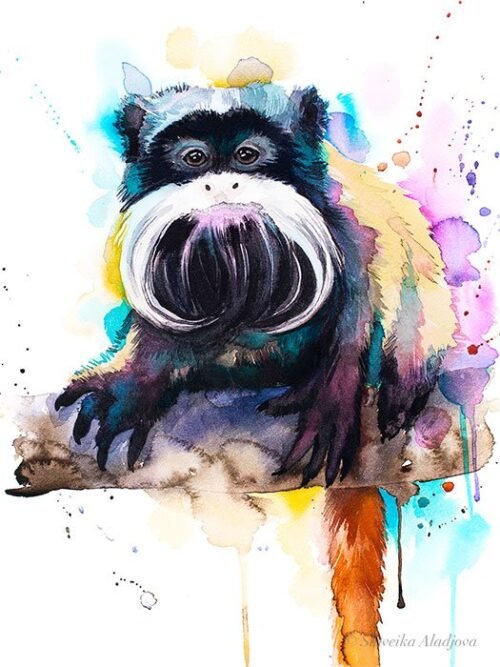 Emperor Tamarin