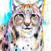 Eurasian lynx