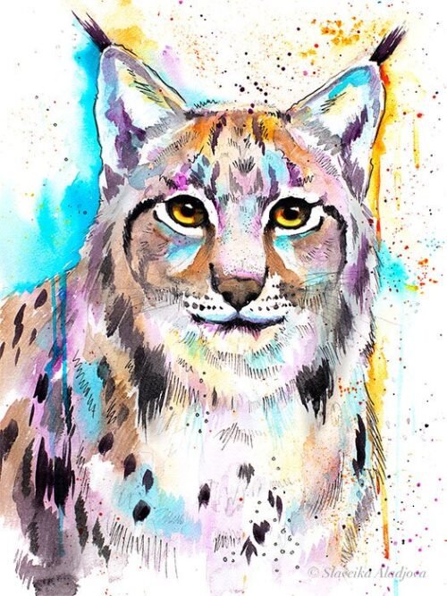 Eurasian lynx