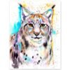 Eurasian lynx watercolor painting print by Slaveika Aladjova