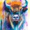European bison