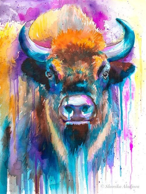 European bison