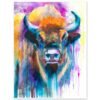 European bison