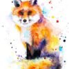 Fox watercolor 1 Fox