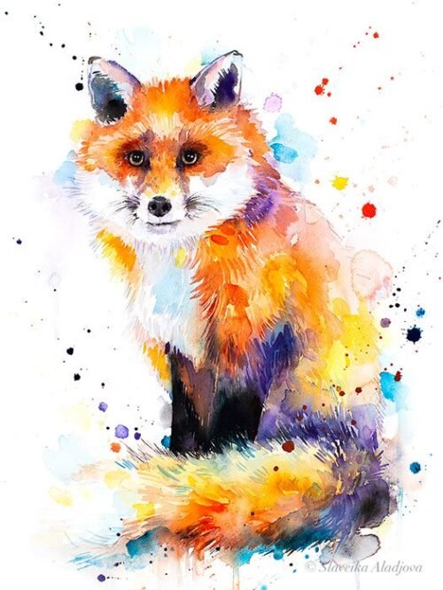 Fox