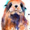 Fur seal