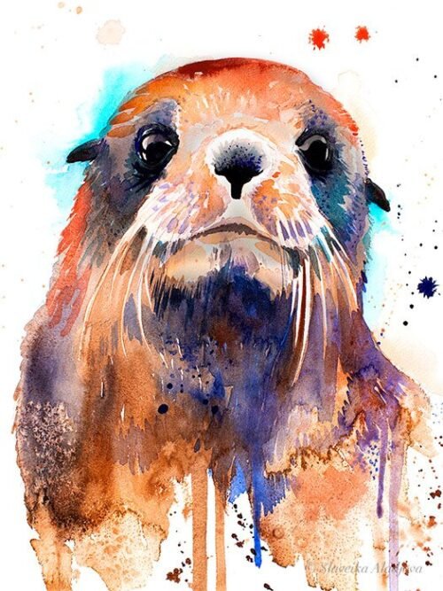 Fur seal