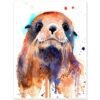 Fur seal