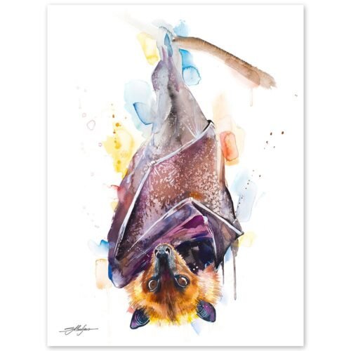 Golden-capped fruit bat