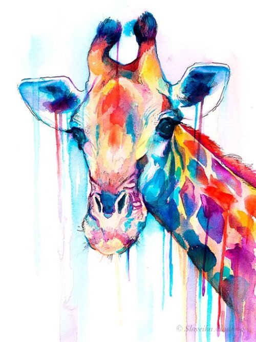 Giraffe