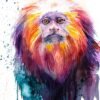 Golden lion tamarin