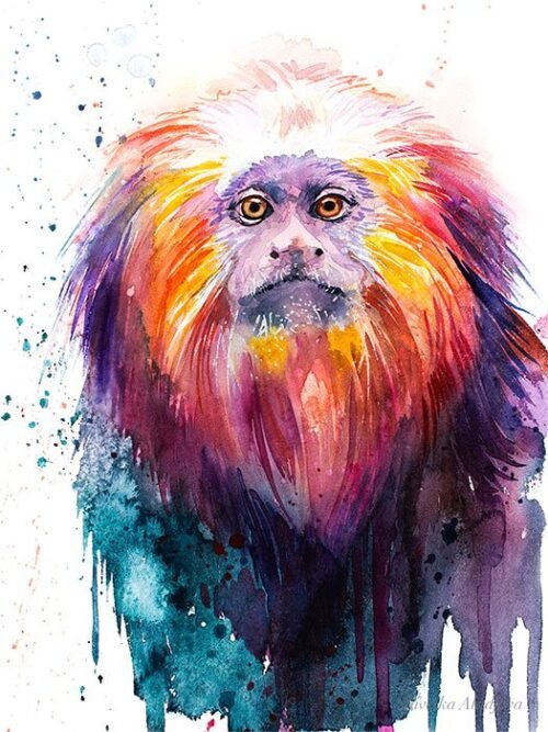 Golden lion tamarin