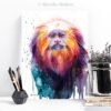 Golden lion tamarin