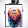 Golden lion tamarin