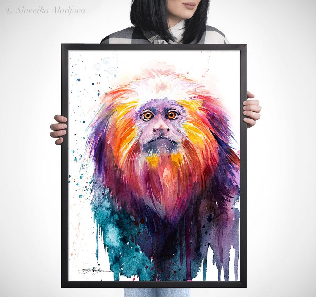Golden lion tamarin watercolor painting print by Slaveika Aladjova