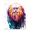 Golden lion tamarin