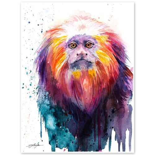Golden lion tamarin