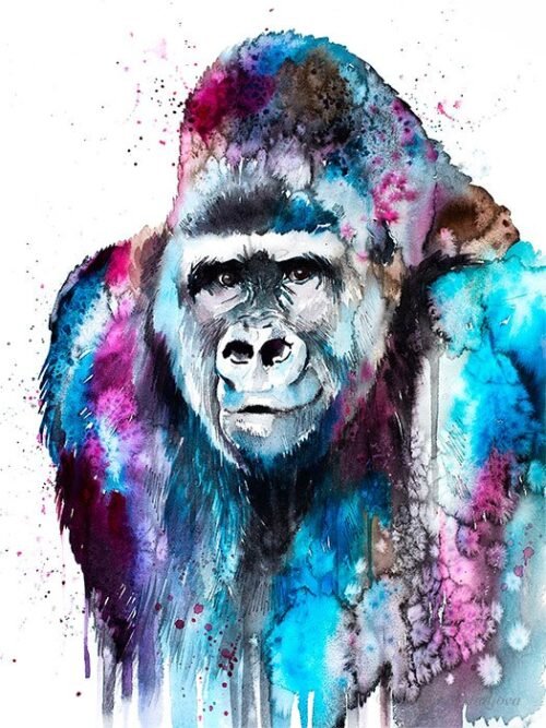 Gorilla
