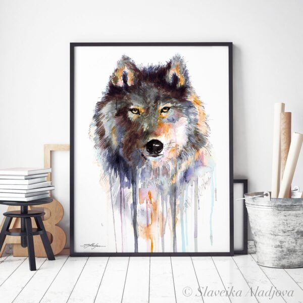Grey wolf