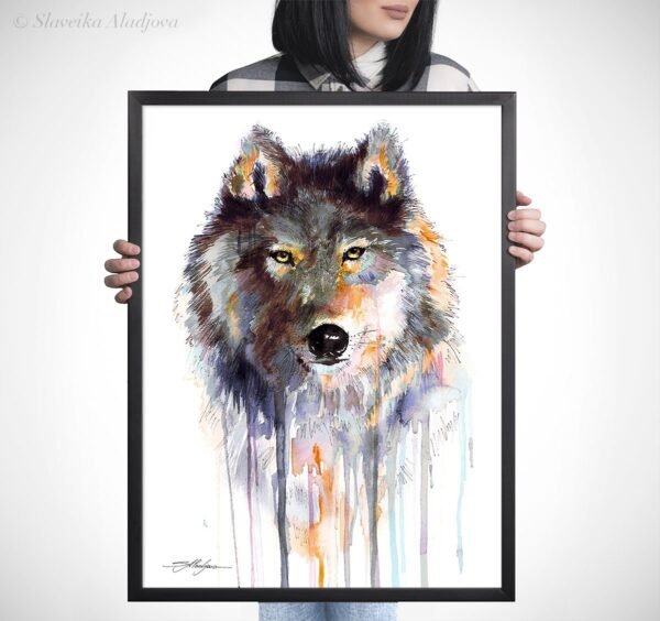 Grey wolf