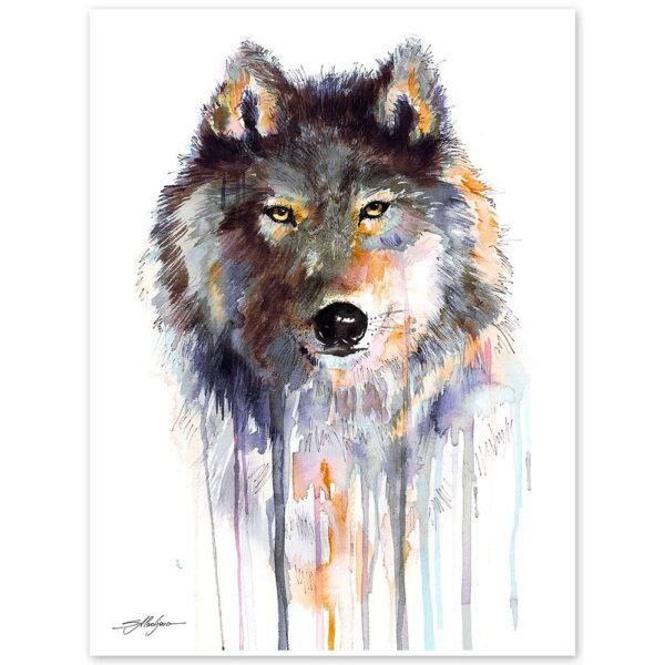 Grey wolf